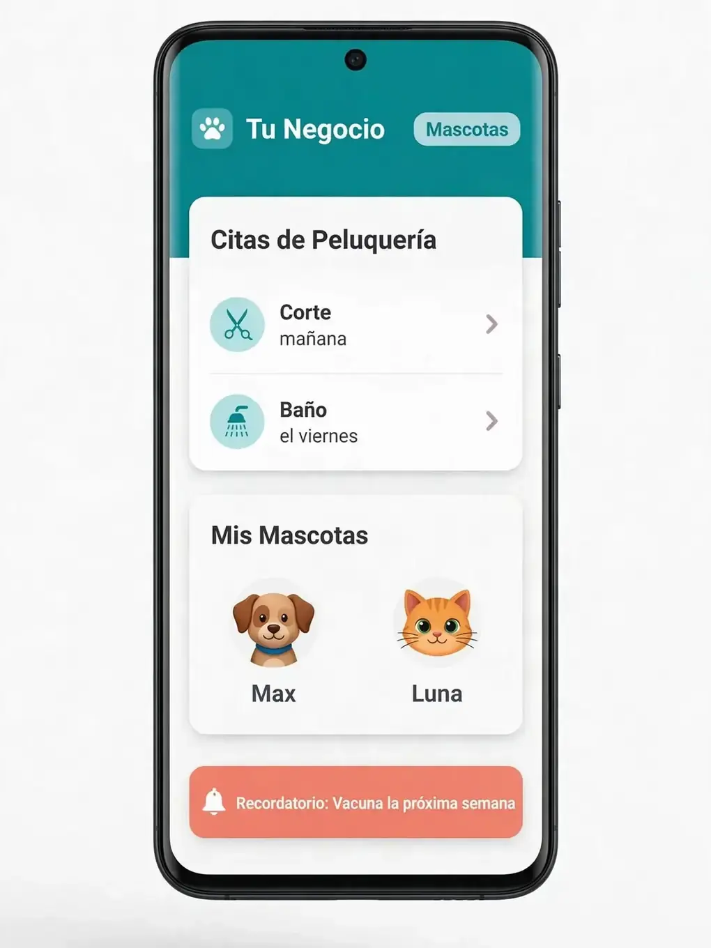 Ejemplo de diseño de app para mascotas: citas de grooming, perfiles de mascota y recordatorios